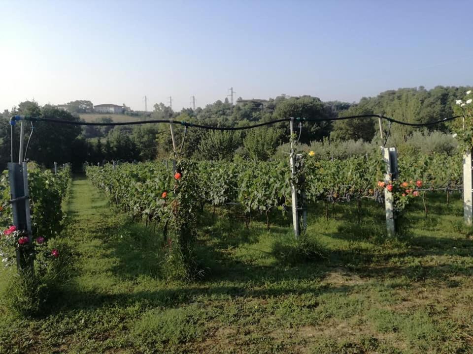 루치냐노 Il Casale Di Lucullo 빌라 외부 사진