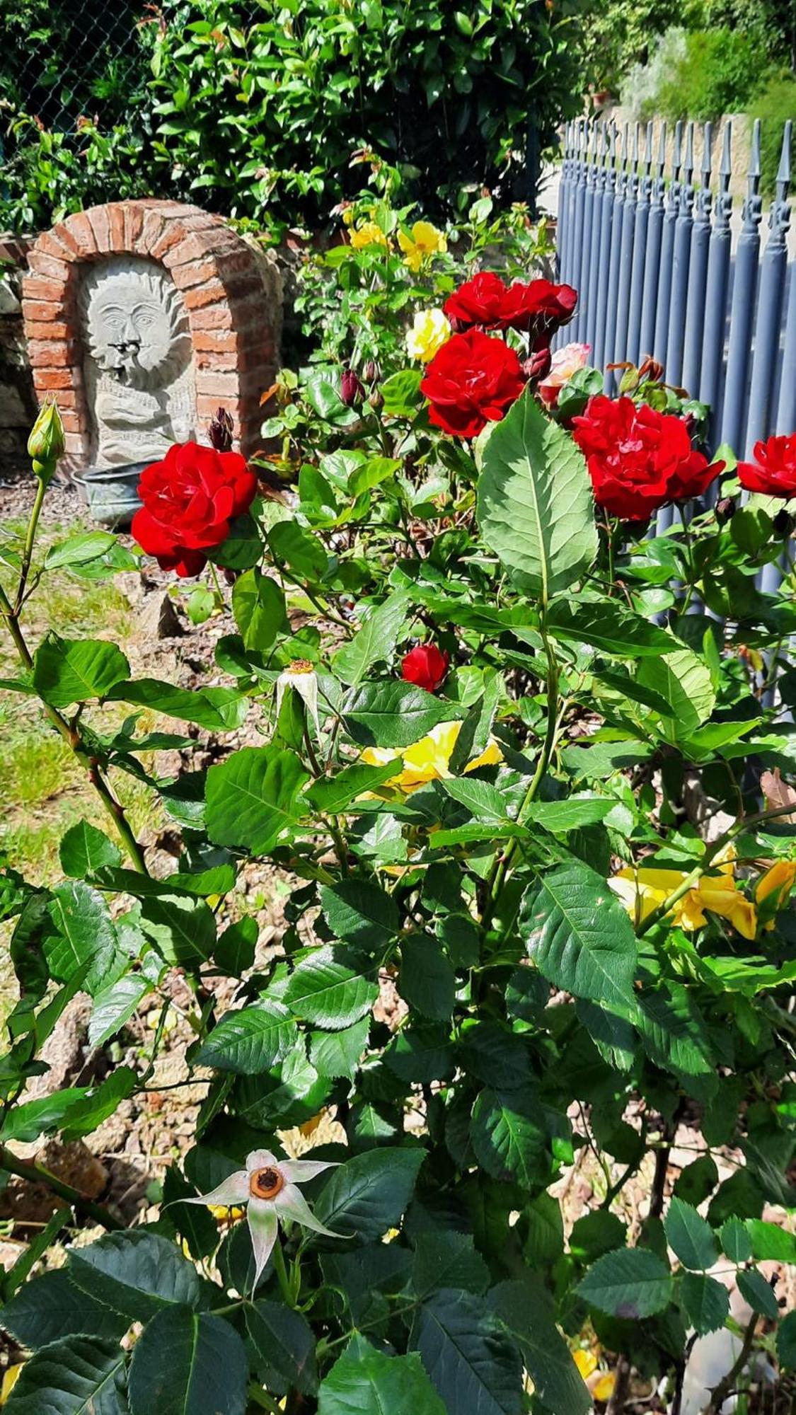 루치냐노 Il Casale Di Lucullo 빌라 외부 사진